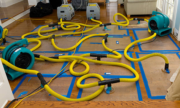 Professional Sewage Cleanup technician working in Strum, WI